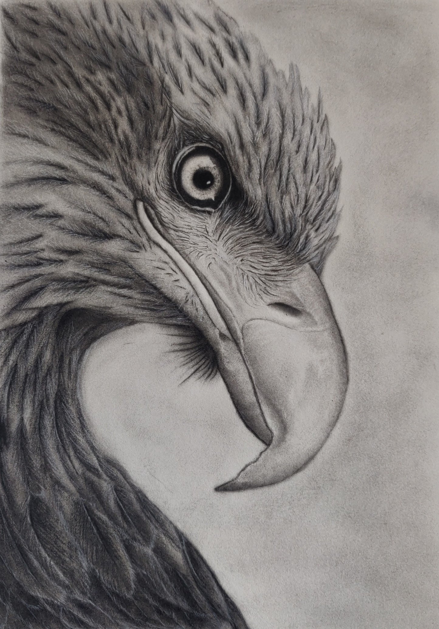 Eagle Eye