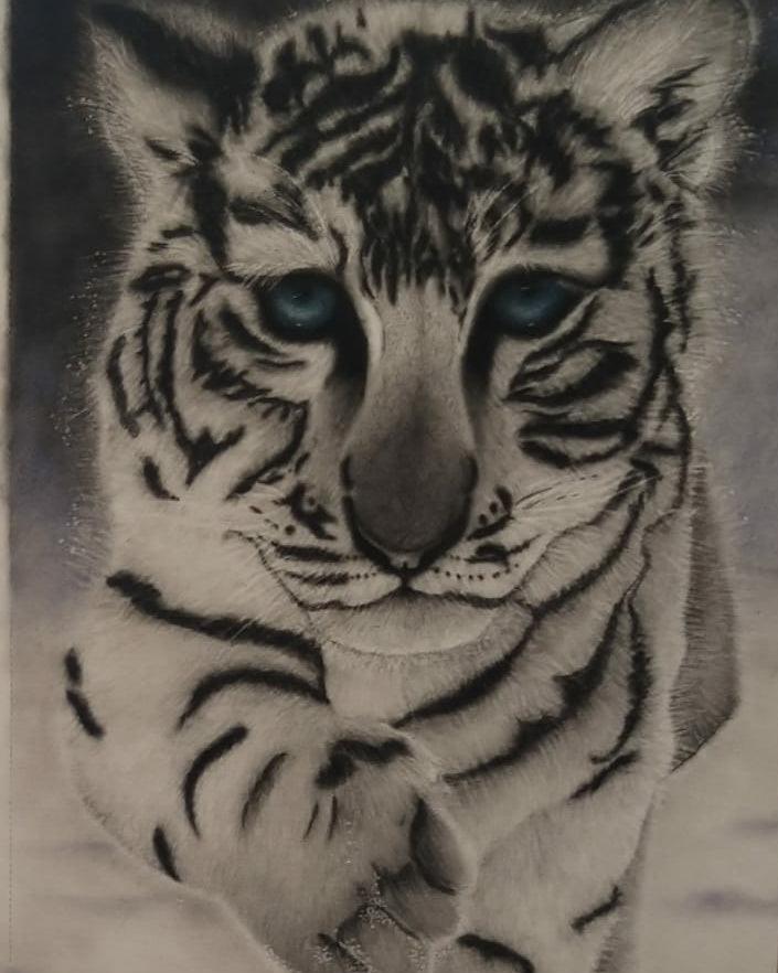 Snow Leopard